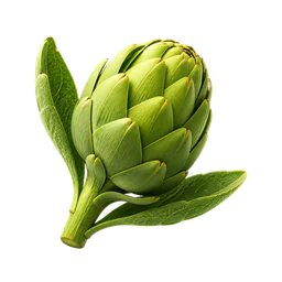 Artichoke extract featured in the ProstaVive formula