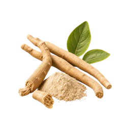 Ashwagandha featured in the ProstaVive formula