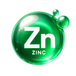 Zinc ingredient illustration
